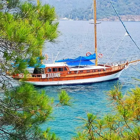 Navy Blue Yacht Charter بوتيل مرمريس