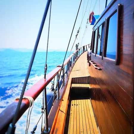 Navy Blue Yacht Charter بوتيل